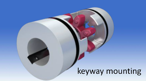 coupling with keyway mounting